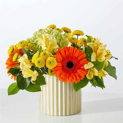 Autumn Sunshine Bouquet with Ivory Vase –  King Soopers, Denver CO