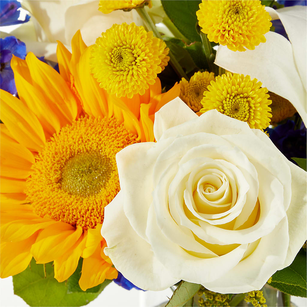Stargazing Bouquet –  King Soopers, Denver CO