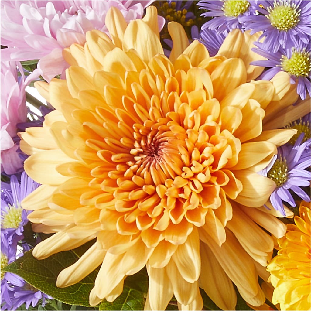 Countryside Bouquet –  King Soopers, Denver CO