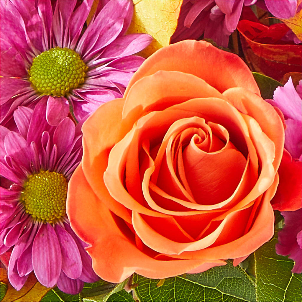 Mum's the Word Bouquet –  King Soopers, Denver CO