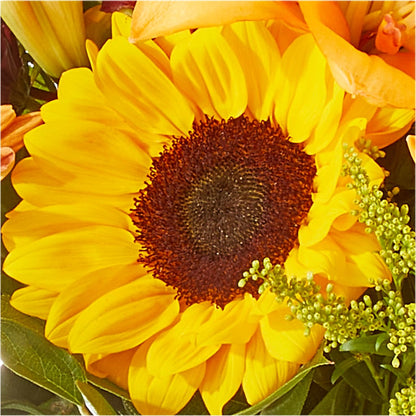 Seasons Change Bouquet –  King Soopers, Denver CO