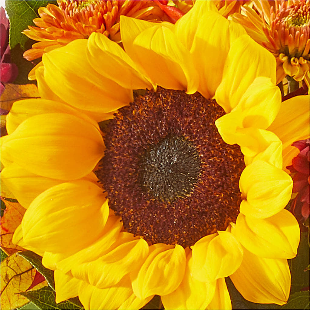 Sunny Side Bouquet –  King Soopers, Denver CO