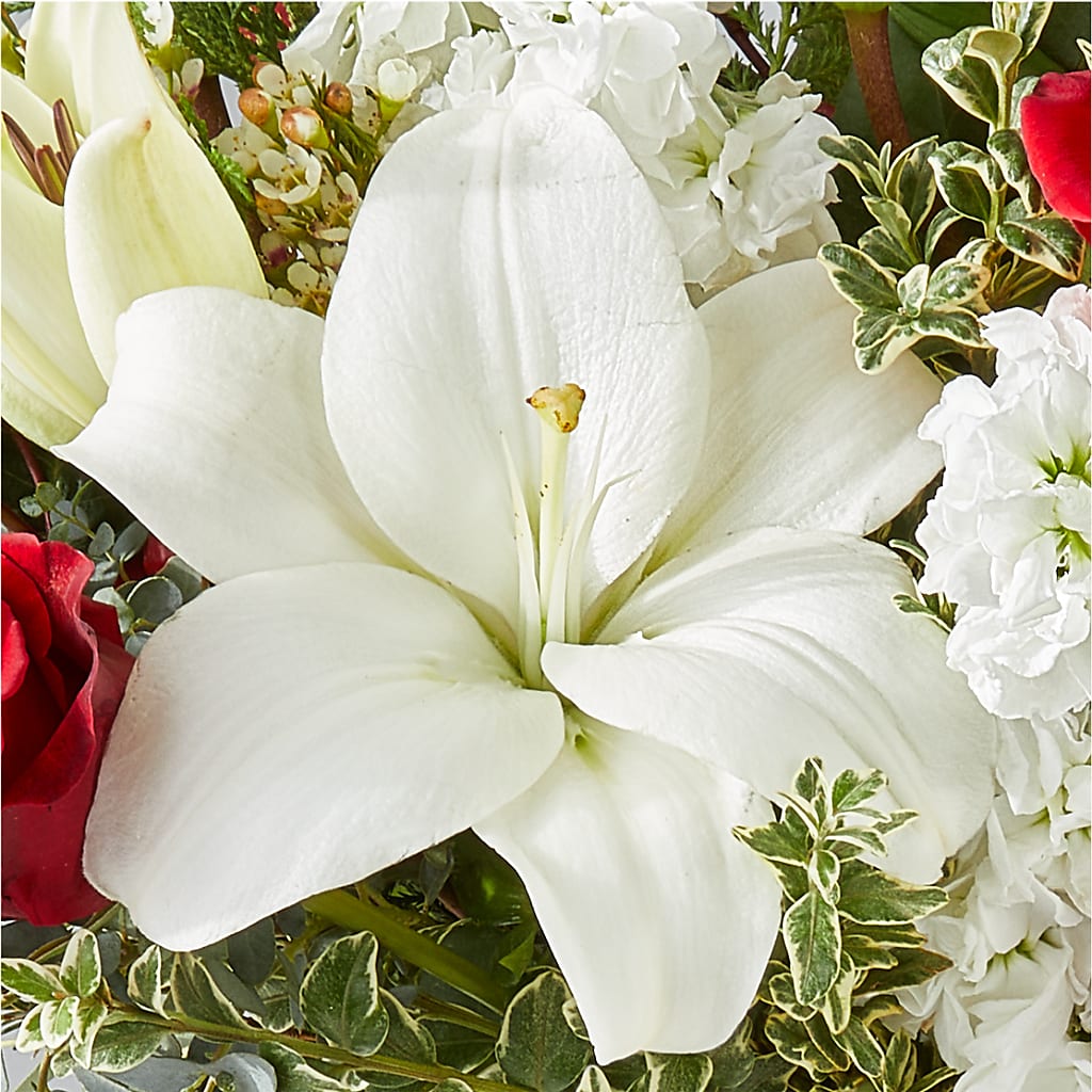 Twinkle Lights Bouquet –  King Soopers, Denver CO