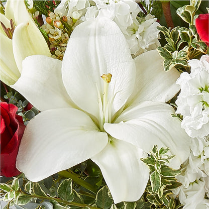 Twinkle Lights Bouquet –  King Soopers, Denver CO