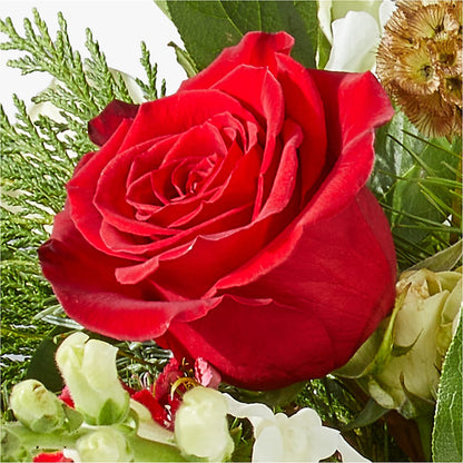 Deck the Halls Bouquet –  King Soopers, Denver CO