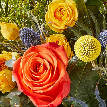 Disco Bouquet –  King Soopers, Denver CO