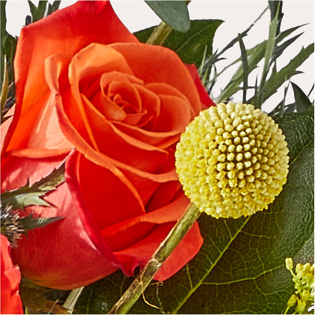 Disco Bouquet –  King Soopers, Denver CO