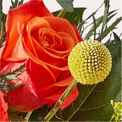 Disco Bouquet –  King Soopers, Denver CO
