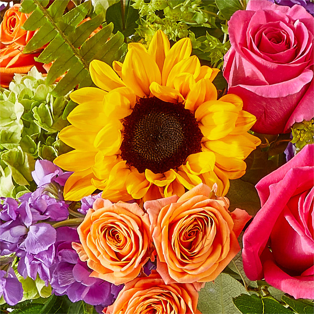 Vibrant Greetings Bouquet –  King Soopers, Denver CO