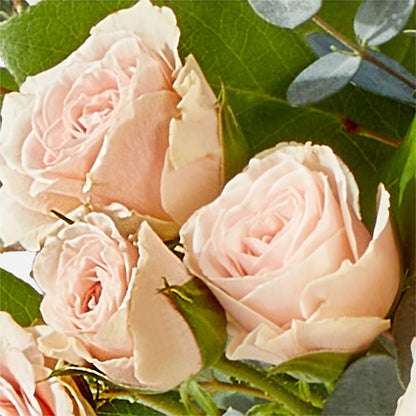 Inspired Bouquet –  King Soopers, Denver CO