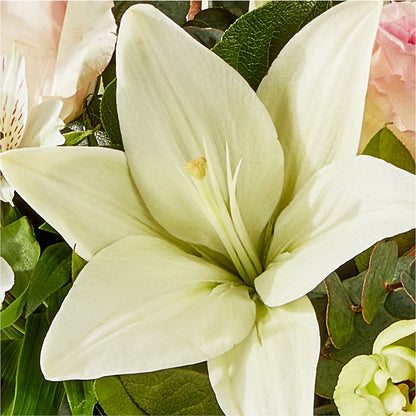 Ballet Slippers Bouquet –  King Soopers, Denver CO