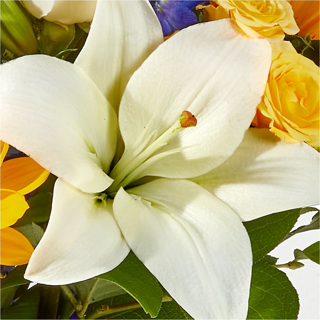 Wonderfully Sunny Bouquet –  King Soopers, Denver CO