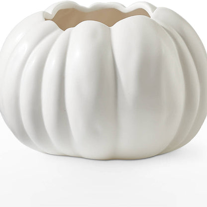 Autumn Air Pumpkin Bouquet –  King Soopers, Denver CO